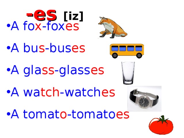 -es  [ iz ] A fo x -fox es A bu s -bus es A gla ss -glass es A wa tch -watch es A tomat o -tomato es 