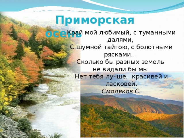 Приморская осень Край мой любимый, с туманными далями,   С шумной тайгою, с болотными рясками…   Сколько бы разных земель не видали бы мы.  Нет тебя лучше, красивей и ласковей. Смоляков С.  