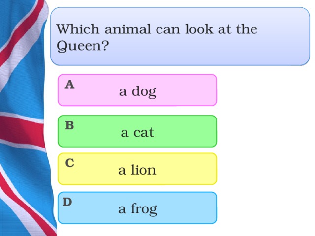 Which animal can look at the Queen? a dog A a cat B a lion C a frog D  