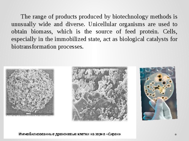 The range of products produced by biotechnology methods is unusually wide and diverse. Unicellular organisms are used to obtain biomass, which is the source of feed protein. Cells, especially in the immobilized state, act as biological catalysts for biotransformation processes. 