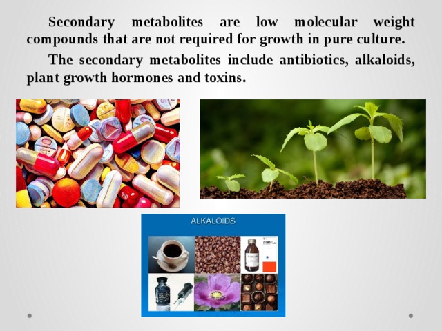 Secondary metabolites are low molecular weight compounds that are not required for growth in pure culture. The secondary metabolites include antibiotics, alkaloids, plant growth hormones and toxins. 