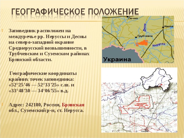  Заповедник расположен на междуречье рр. Неруссы и Десны на северо-западной окраине Среднерусской возвышенности, в Трубчевском и Суземском районах Брянской области.   Географические координаты крайних точек заповедника: «52°25'46 — 52°33'25» с.ш. и «33°48'30 — 34°06'55» в.д.  Адрес: 242180, Россия, Брянская обл., Суземский р-н, ст. Нерусса.      