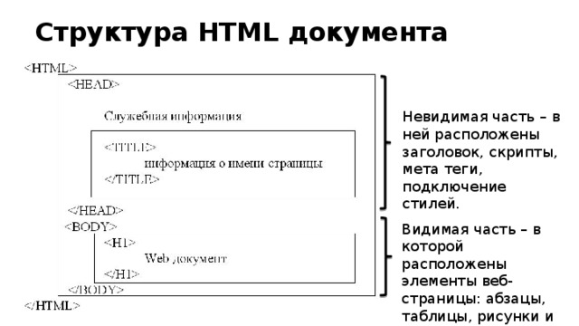 Структура HTML документа Невидимая часть – в ней расположены заголовок, скрипты, мета теги, подключение стилей.  Видимая часть – в которой расположены элементы веб-страницы: абзацы, таблицы, рисунки и т.д.   