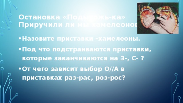 Остановка «Подытожь-ка»  Приручили ли мы хамелеонов? Назовите приставки –хамелеоны. Под что подстраиваются приставки, которые заканчиваются на З-, С- ? От чего зависит выбор О//А в приставках раз-рас, роз-рос?  