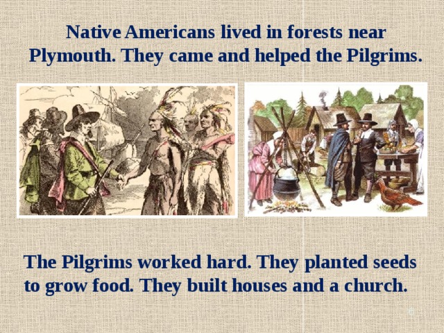 Native Americans lived in forests near Plymouth. They came and helped the Pilgrims. The Pilgrims worked hard. They planted seeds to grow food. They built houses and a church.