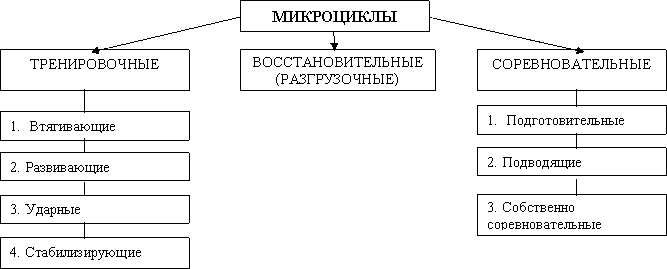 Распишите в общем виде один из микроциклов для избранного вида спорта по следующему плану