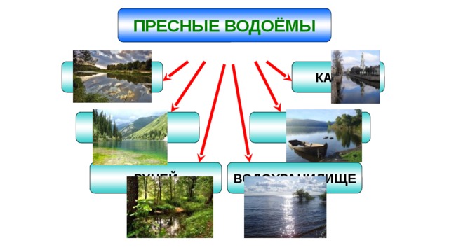 ПРЕСНЫЕ ВОДОЁМЫ РЕКА КАНАЛ ПРУД ОЗЕРО ВОДОХРАНИЛИЩЕ РУЧЕЙ 