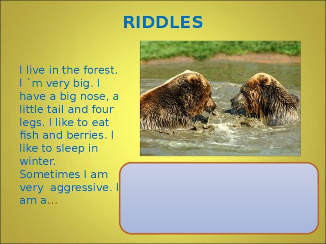 RIDDLES I live in the forest. I `m very big. I have a big nose, a little tail and four legs. I like to eat fish and berries. I like to sleep in winter. Sometimes I am very aggressive. I am a …