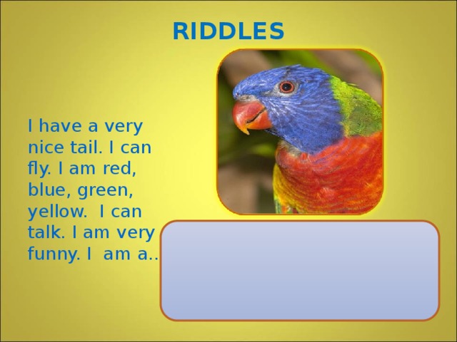 RIDDLES I have a very nice tail. I can fly. I am red, blue, green, yellow. I can talk. I am very funny. I am a..