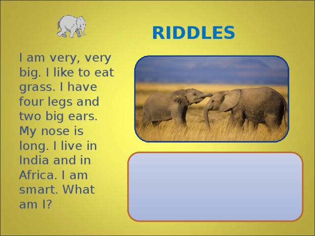 RIDDLES I am very, very big. I like to eat grass. I have four legs and two big ears. My nose is long. I live in India and in Africa. I am smart. What am I?