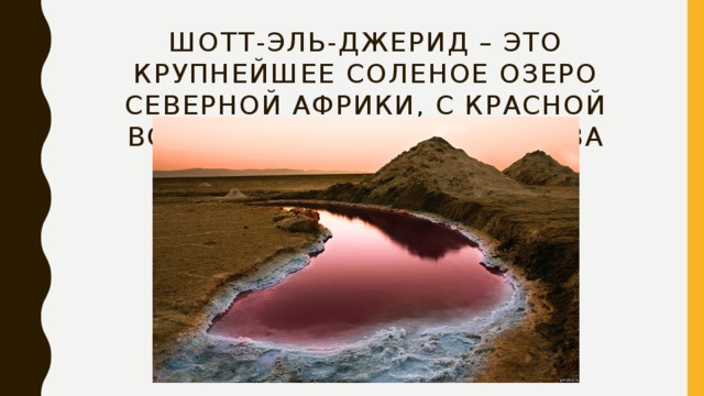 Шотт-Эль-Джерид – это крупнейшее соленое озеро Северной Африки, с красной водой от огромного кол-ва бактерий . 