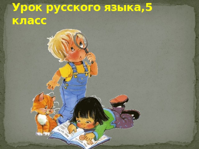 Урок русского языка,5 класс 