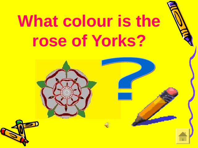 What colour is the rose of Yorks?