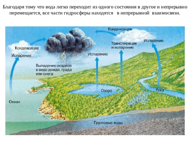 Благодаря тому что вода легко переходит из одного состояния в другое и непрерывно перемещается, все части гидросферы находятся в непрерывной взаимосвязи.