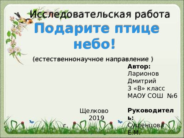  Исследовательская работа  Подарите птице небо!   (естественнонаучное направление )    Автор: Ларионов Дмитрий 3 «В» класс МАОУ СОШ №6 Руководитель: Сушенцова Е.М.  Щелково  2019 г. 