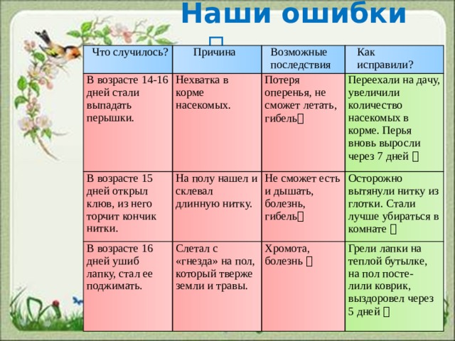  Наши ошибки   Что случилось?  Причина В возрасте 14-16 дней стали выпадать перышки.  Возможные В возрасте 15 дней открыл клюв, из него торчит кончик нитки. Нехватка в корме насекомых. В возрасте 16 дней ушиб лапку, стал ее поджимать. На полу нашел и склевал длинную нитку. Потеря оперенья, не сможет летать, гибель   Как  последствия Переехали на дачу, увеличили количество насекомых в корме. Перья вновь выросли через 7 дней   исправили? Не сможет есть и дышать, болезнь, гибель  Слетал с «гнезда» на пол, который тверже земли и травы. Осторожно вытянули нитку из глотки. Стали лучше убираться в комнате  Хромота, болезнь  Грели лапки на теплой бутылке, на пол посте- лили коврик, выздоровел через 5 дней  