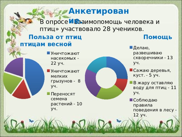  Анкетирование. В опросе «Взаимопомощь человека и птиц» участвовало 28 учеников.  Польза от птиц Помощь птицам весной 