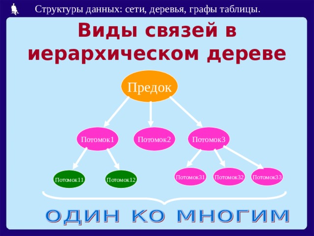 Виды связей в иерархическом дереве Предок Потомок3 Потомок2 Потомок1 Потомок31 Потомок32 Потомок33 Потомок11 Потомок12 