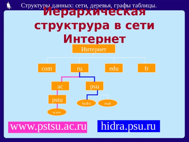 Иерархическая структрура в сети Интернет fr edu ru com ac psu pstu hydra mail www hidra.psu.ru www.pstsu.ac.ru 