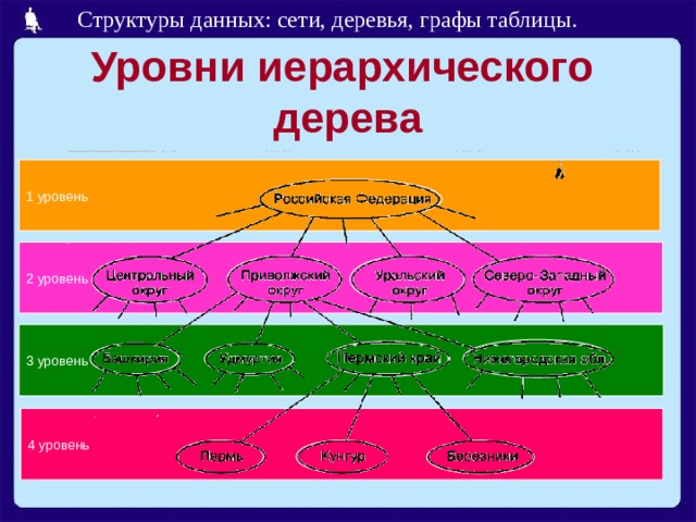 Уровни иерархического  дерева 1 уровень 2 уровень 3 уровень 4 уровень 