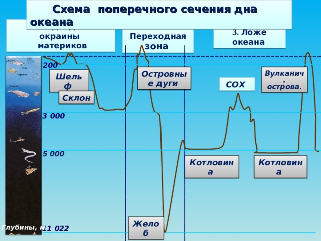 Установите соответствие между зонами океанов