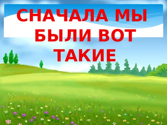 СНАЧАЛА МЫ БЫЛИ ВОТ ТАКИЕ   