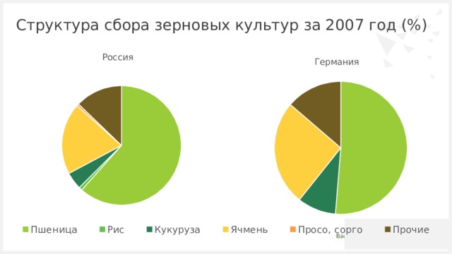 Структура сбора зерновых культур за 2007 год (%) 