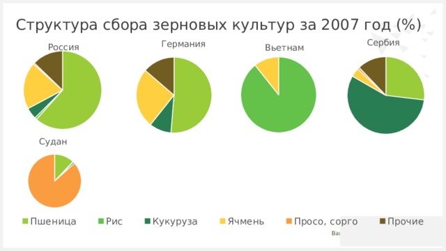 Структура сбора зерновых культур за 2007 год (%) 