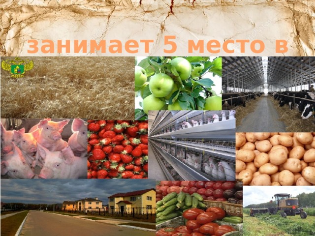 Сельское хозяйство  занимает 5 место в мире!!
