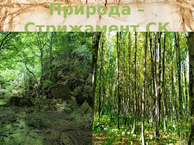 Природа – Стрижамент СК