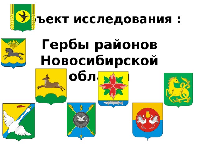 Объект исследования : Гербы районов Новосибирской области 