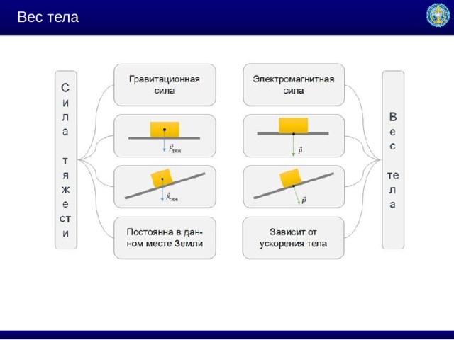 Вес тела 