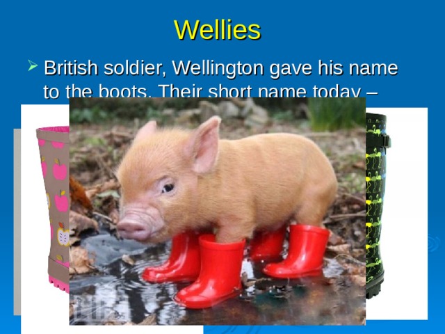 Wellies British soldier, Wellington gave his name to the boots. Their short name today – wellies.  