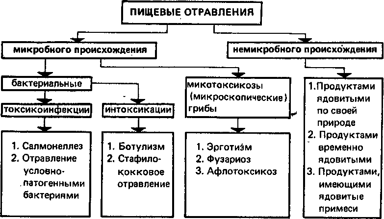 Какие бывают пищевые отравления. Классификация пищевых отравлений схема. Пищевые токсикоинфекции микробиология классификация. Пищевые отравления бактериального происхождения таблица. Пищевые отравления микробного происхождения таблица.