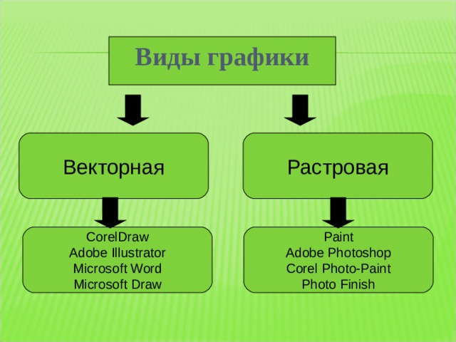 Виды графики Векторная Растровая CorelDraw Adobe Illustrator Microsoft Word Microsoft Draw Paint Adobe Photoshop Corel Photo-Paint Photo Finish 