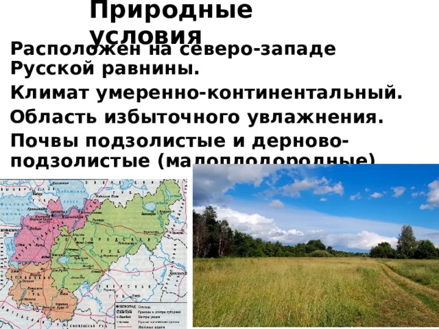 Почвы Северо Запада России. Почвы русской равнины. Тип почвы русской равнины