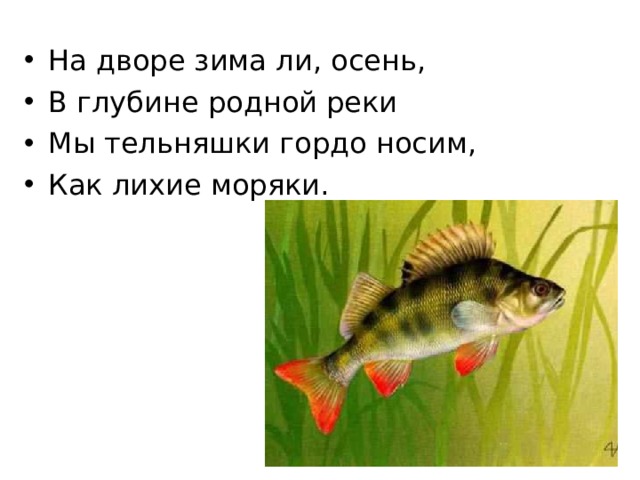 На дворе зима ли, осень, В глубине родной реки Мы тельняшки гордо носим, Как лихие моряки.