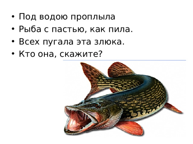 Под водою проплыла Рыба с пастью, как пила. Всех пугала эта злюка. Кто она, скажите?