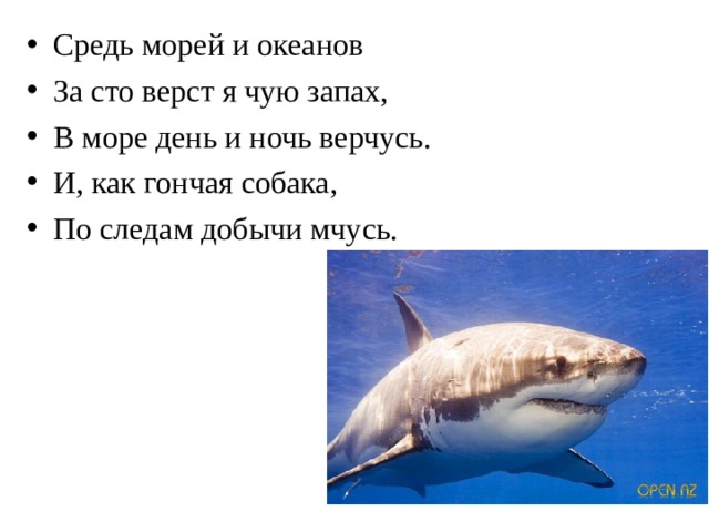 Средь морей и океанов За сто верст я чую запах, В море день и ночь верчусь. И, как гончая собака, По следам добычи мчусь.