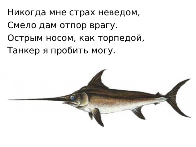 Никогда мне страх неведом, Смело дам отпор врагу. Острым носом, как торпедой, Танкер я пробить могу.