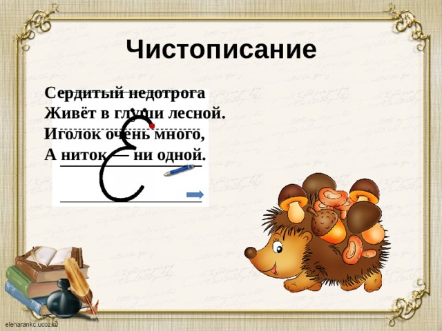 Чистописание Сердитый недотрога Живёт в глуши лесной. Иголок очень много, А ниток — ни одной.  