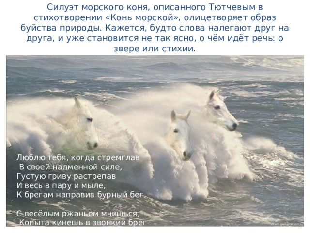  Силуэт морского коня, описанного Тютчевым в стихотворении «Конь морской», олицетворяет образ буйства природы. Кажется, будто слова налегают друг на друга, и уже становится не так ясно, о чём идёт речь: о звере или стихии.   Люблю тебя, когда стремглав  В своей надменной силе, Густую гриву растрепав И весь в пару и мыле, К брегам направив бурный бег, С весёлым ржаньем мчишься,  Копыта кинешь в звонкий брег  И – в брызги разлетишься!.. 
