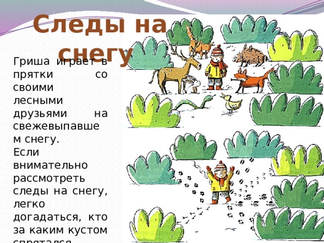  Следы на снегу Гриша играет в прятки со своими лесными друзьями на свежевыпавшем снегу. Если внимательно рассмотреть следы на снегу, легко догадаться, кто за каким кустом спрятался. Попробуй и ты отыскать зверей! 