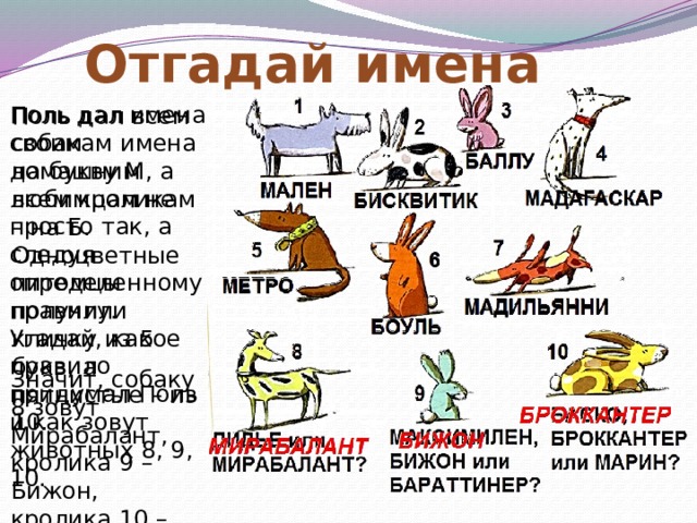 Угадай правила. Отгадай название. Угадай имя. Отгадай имя кличку животного. Отгадай имена читай.