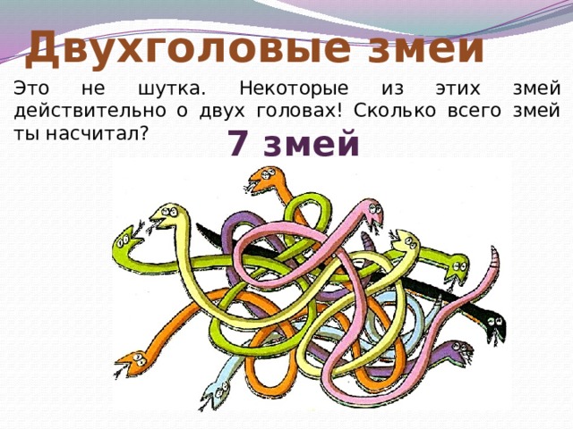 Двухголовые змеи Это не шутка. Некоторые из этих змей действительно о двух головах! Сколько всего змей ты насчитал? 7 змей 