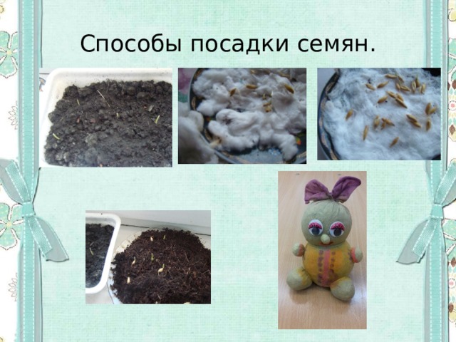 Способы посадки семян. 
