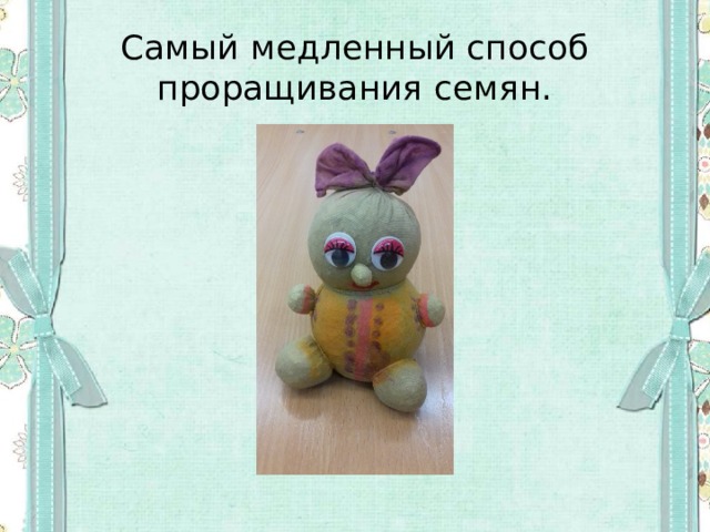 Самый медленный способ проращивания семян. 