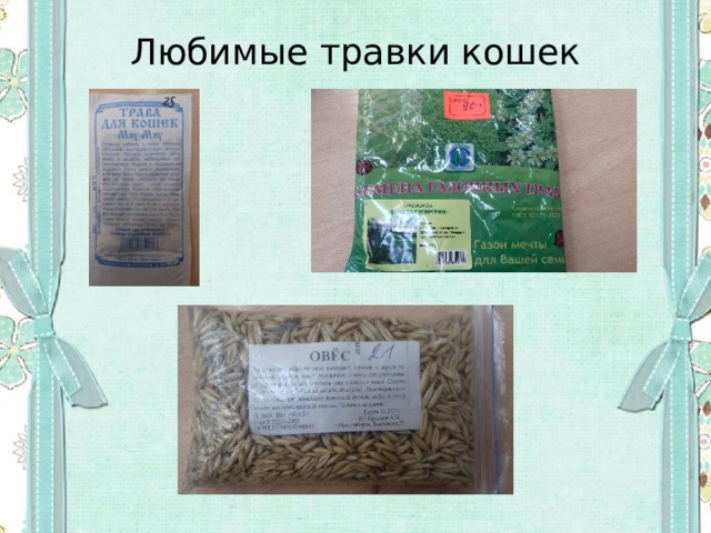 Любимые травки кошек 