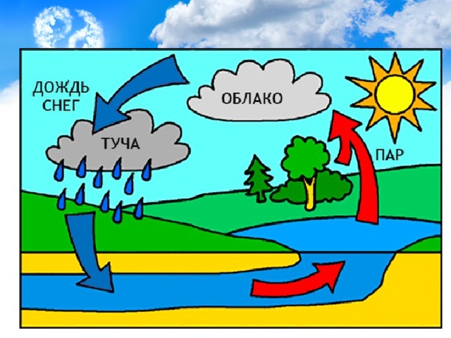 Рисунок почему и