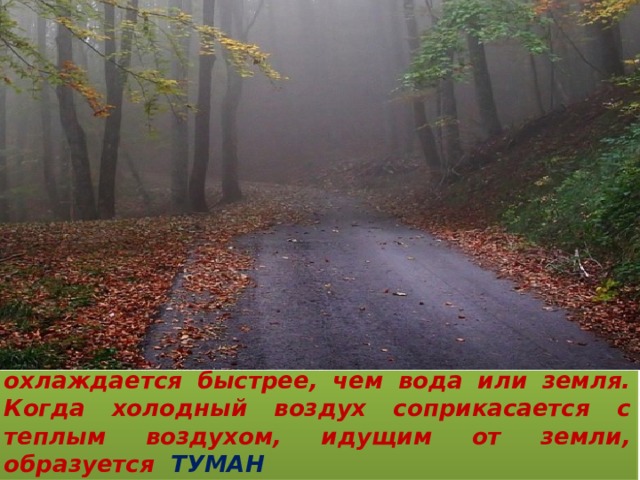 Осенью воздух становится холоднее, охлаждается быстрее, чем вода или земля. Когда холодный воздух соприкасается с теплым воздухом, идущим от земли, образуется ТУМАН   